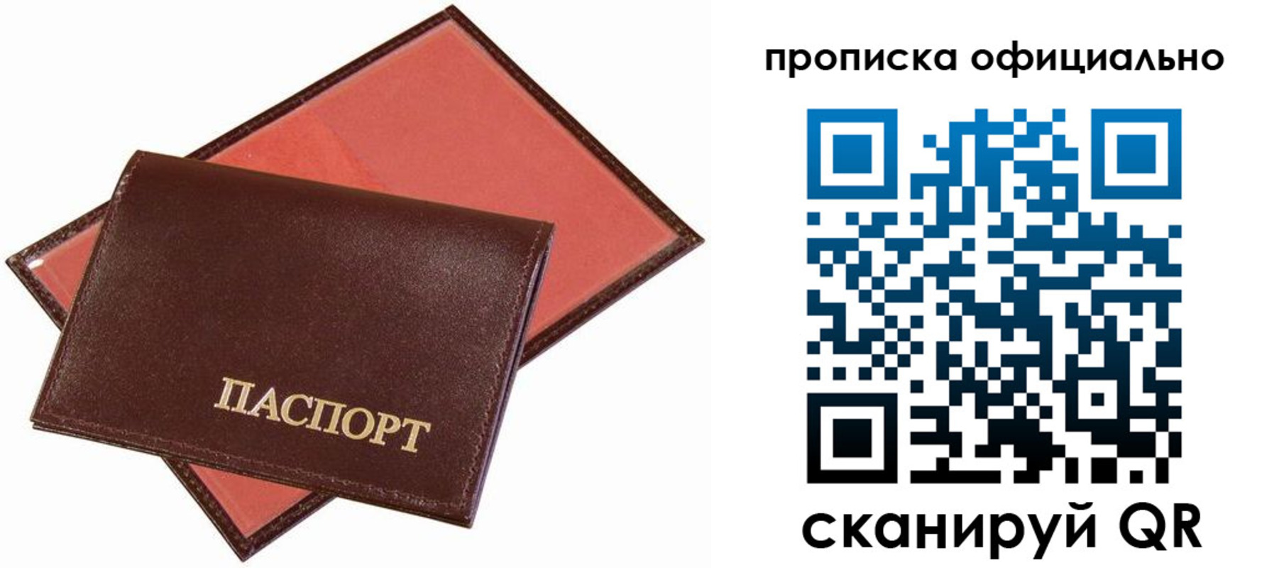 временная регистрация гарантия в Ершове